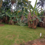 Terreno à venda em Jardim Bela Vista, Guarulhos, SP
