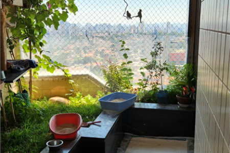 Apartamento à venda com 4 suítes em Bosque da Saúde, São Paulo, SP