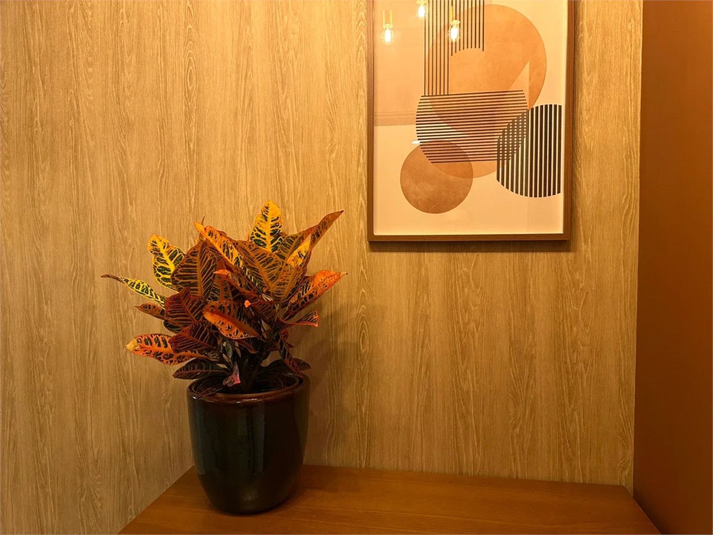 Apartamento à venda ou para alugar com 1 suíte em Pinheiros, São Paulo, SP