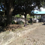 Terreno à venda em Vila Guilherme, São Paulo, SP