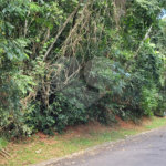 Terreno à venda no condomínio Associação Reserva das Hortênsias, Mairiporã - SP