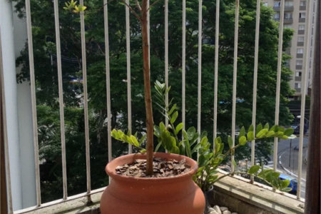 Apartamento à venda com 2 quartos em Vila Andrade, São Paulo, SP