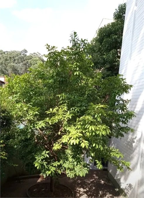 Apartamento à venda com 2 quartos, sendo 1 suíte, em Jardim Jaqueline, São Paulo, SP