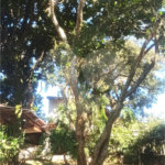 Chácara à venda com 5 quartos, sendo 3 suítes, em Parque Residencial Atibaia, Atibaia, SP
