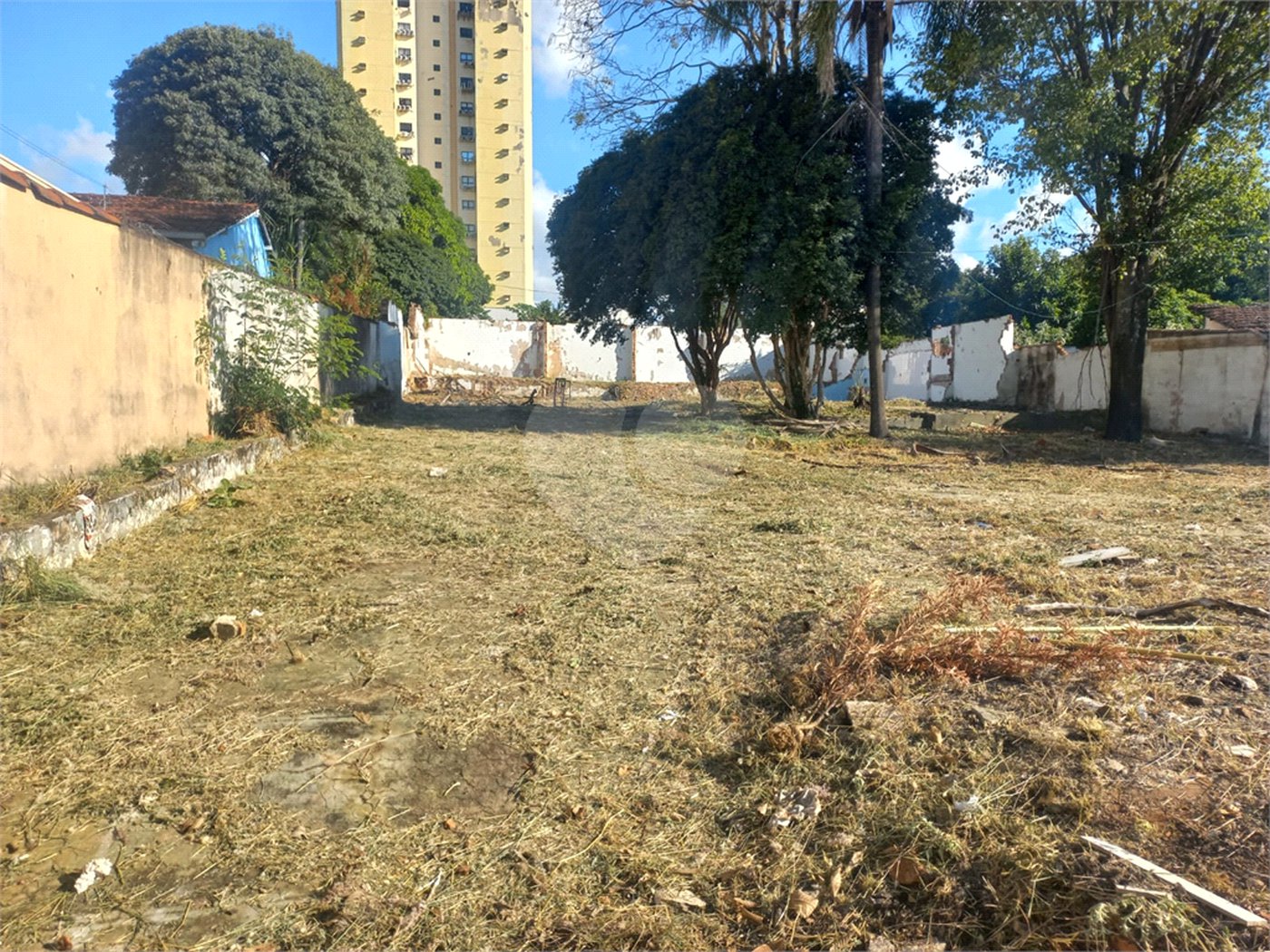Terreno 784m² proximo à Santa Casa e a USP - Investimento