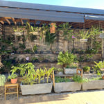 Casa à venda com 3 suítes em Village do Bosque I, Ponta Porã, MS