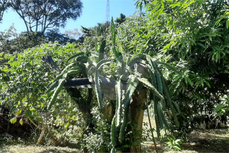 Terreno à venda em Vila Guido, Itu, SP