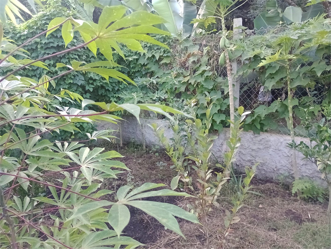 Chácara à venda com 5 quartos, sendo 1 suíte, em Jardim Marabá, Itapetininga, SP
