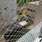Apartamento à venda com 2 quartos em Perus, São Paulo, SP