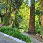Sobrado à venda com 4 suítes em Jardim Olympia, São Paulo, SP