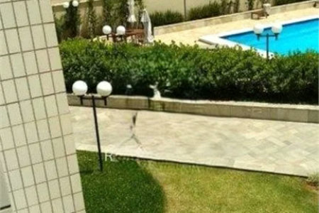 Apartamento à venda com 3 quartos, sendo 1 suíte, em Vila Butantã, São Paulo, SP