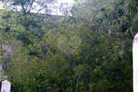 Terreno à venda em Vila Mazzei, São Paulo, SP