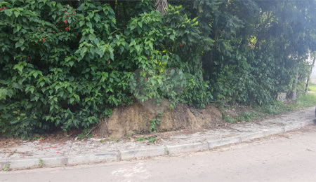 Terreno à venda em Serra da Cantareira, Mairiporã, SP