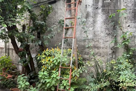 Casa à venda no Jaçanã 400m² – Amplo espaço e excelente localização!