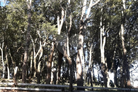 Chácara à venda com 8 quartos, sendo 3 suítes, no Centro, Toledo, MG