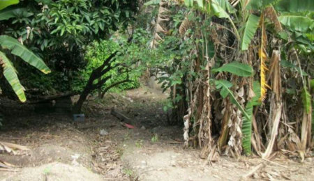 Terreno à venda em Jardim Jussara, São Paulo, SP