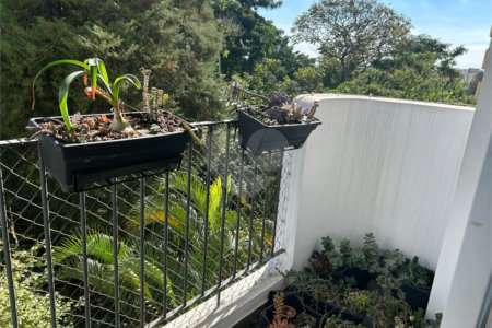 Apartamento à venda com 3 quartos em Vila Suzana, São Paulo, SP