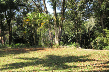 Terreno à venda no condomínio Chácara Flora, São Paulo - SP