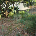 Terreno à venda em Vila São José, Valinhos, SP