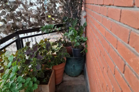 Apartamento à venda com 4 quartos, sendo 2 suítes, em Brooklin Paulista, São Paulo, SP