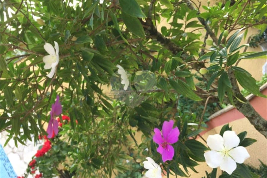 Sobrado à venda com 6 quartos, sendo 2 suítes, em Horto Florestal, São Paulo, SP