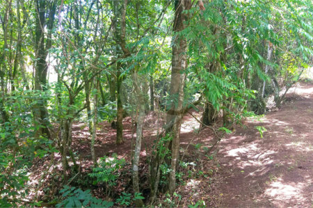 Sítio à venda no Centro, Monte Sião, MG