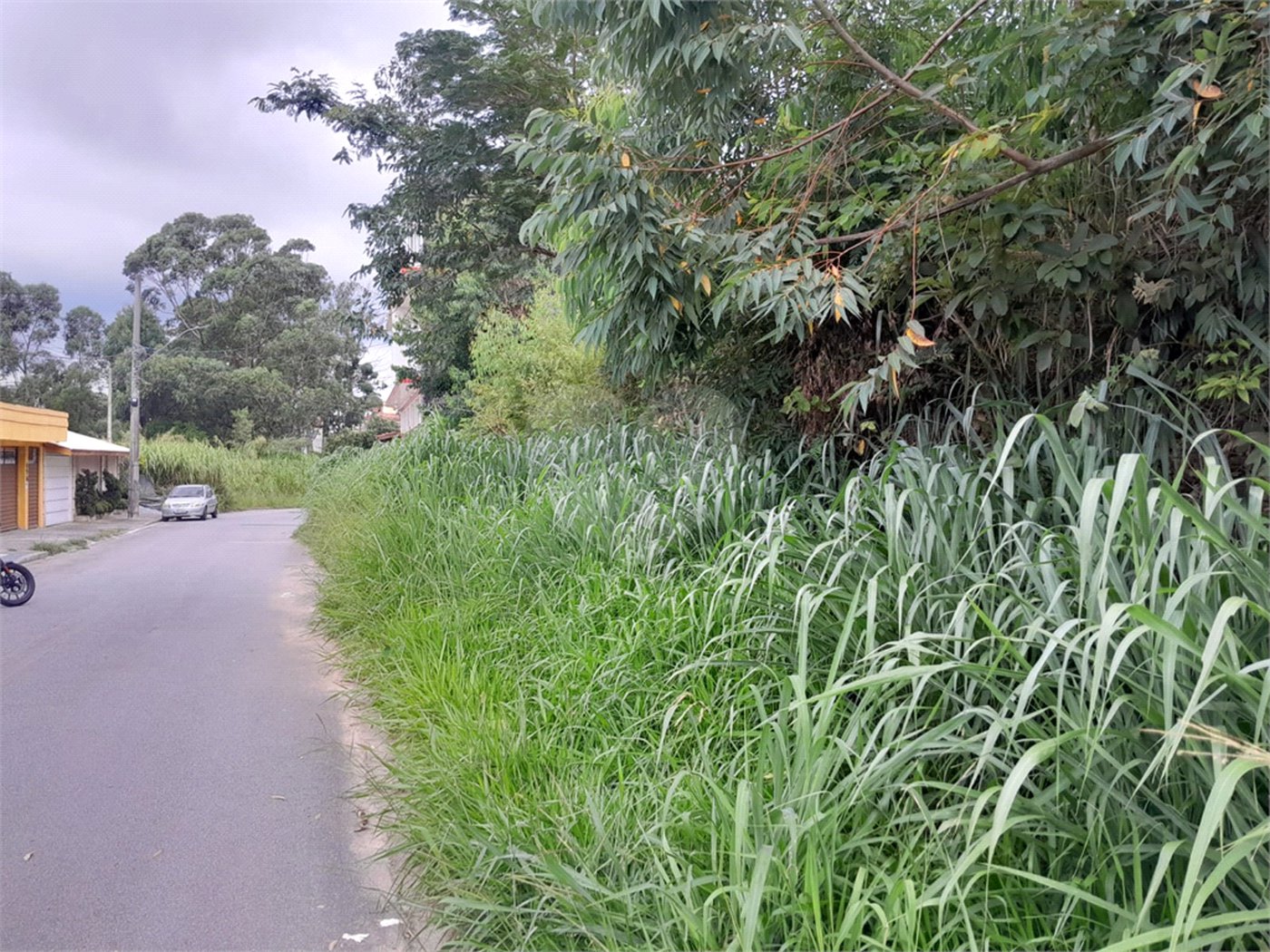 Terreno à venda em Serra da Cantareira, Mairiporã, SP
