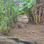 Terreno à venda em Santíssimo, Rio de Janeiro, RJ