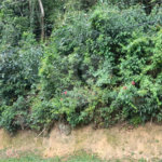 Terreno à venda no condomínio Parque Imperial da Cantareira, Mairiporã - SP