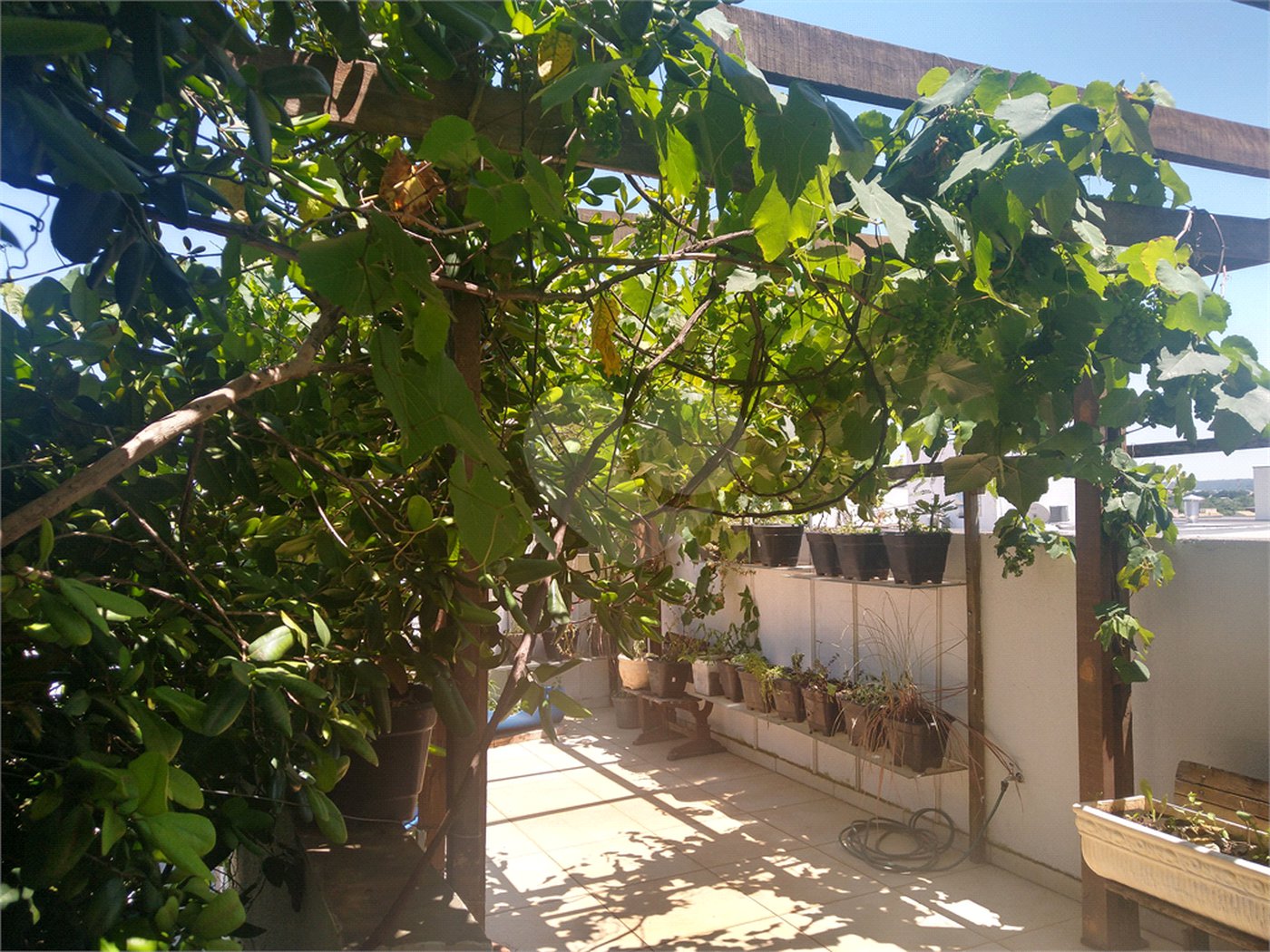 Casa à venda com 4 quartos, sendo 3 suítes, no condomínio Ibiti Royal Park, Sorocaba - SP