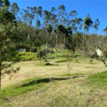 Sítio à venda com 2 quartos, sendo 1 suíte, em Ibiúna, Ibiúna, SP