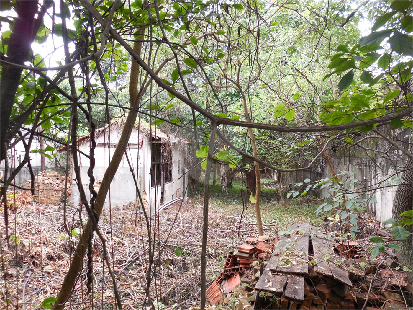 Terreno à venda em Alto da Boa Vista, São Paulo, SP