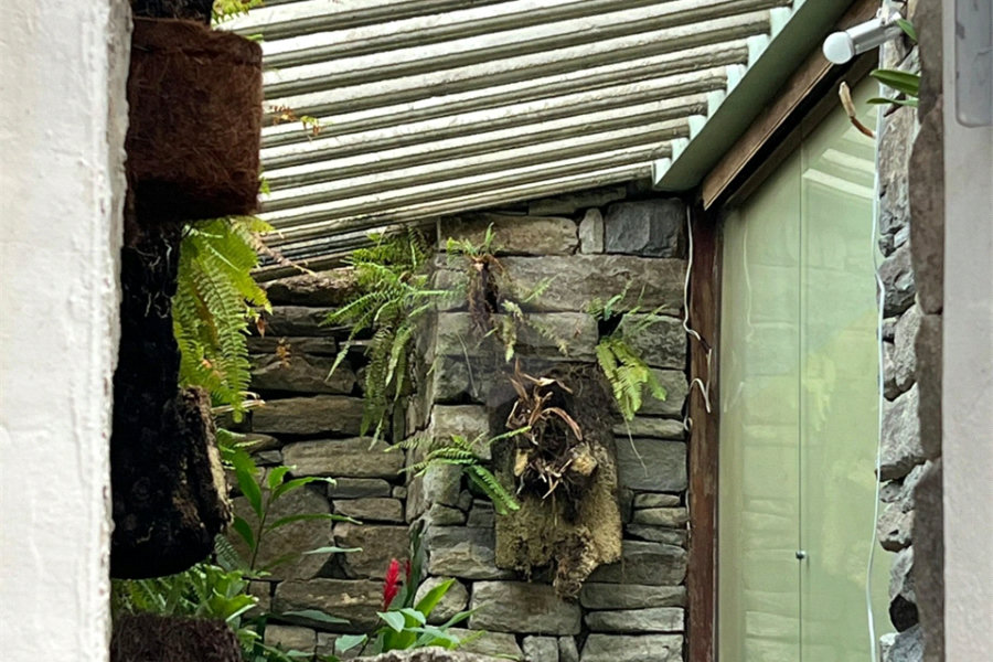 Sobrado à venda com 4 suítes em Horto Florestal, São Paulo, SP