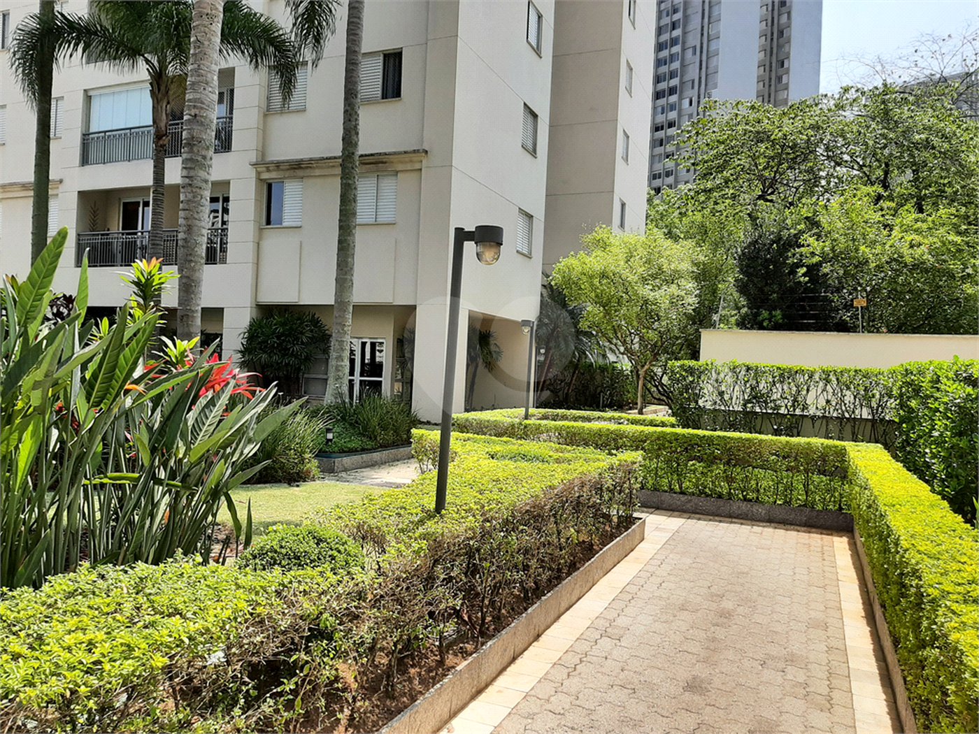 Apartamento à venda ou para alugar com 3 quartos, sendo 1 suíte,  em Vila Suzana, São Paulo, SP