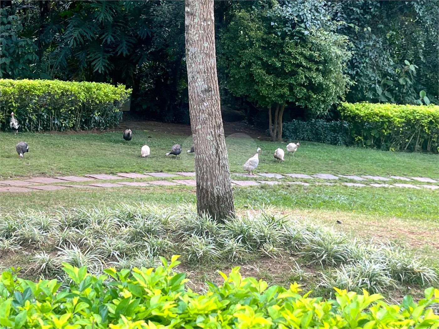 Cobertura à venda ou para alugar com 4 suítes em Jardim Morumbi, São Paulo, SP