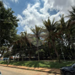 Apartamento à venda com 3 suítes no Centro, Araraquara, SP
