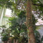 Sobrado à venda com 3 quartos, sendo 1 suíte, em Vila Sabrina, São Paulo, SP