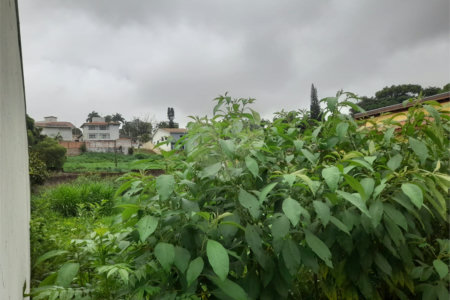Terreno à Venda no Bairro Nobre Parque Santa Mônica