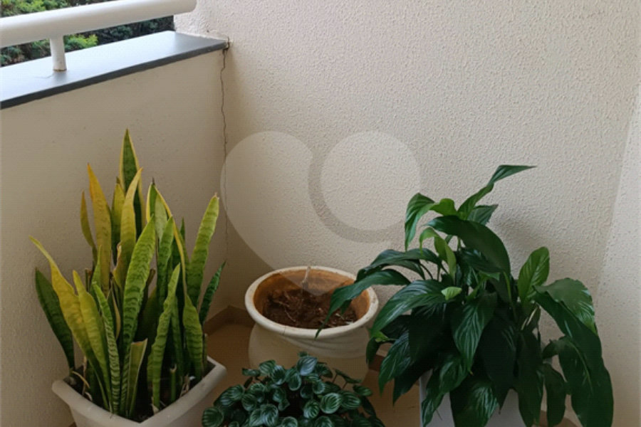 Apartamento à venda com 3 quartos, sendo 1 suíte, em Casa Verde, São Paulo, SP