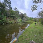 Sítio à venda com 6 quartos, sendo 5 suítes, em Área Rural de Itapetininga, Itapetininga, SP