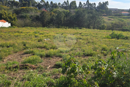 Terreno à venda em Vila Sonia, Itapetininga, SP