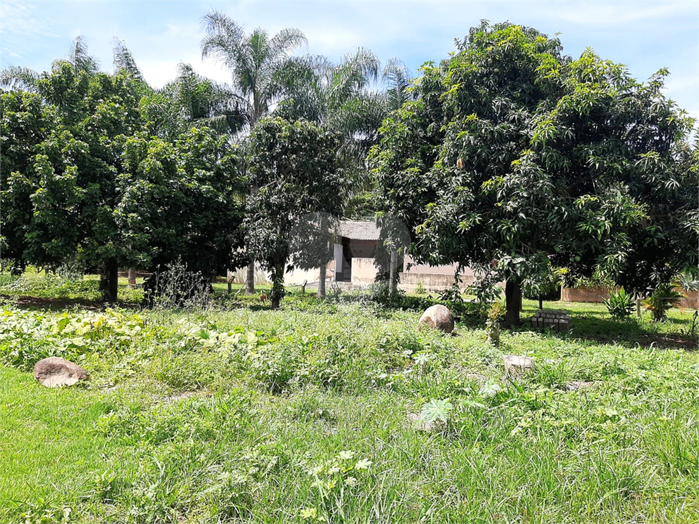 Terreno à venda em Cachoeira, Vinhedo, SP