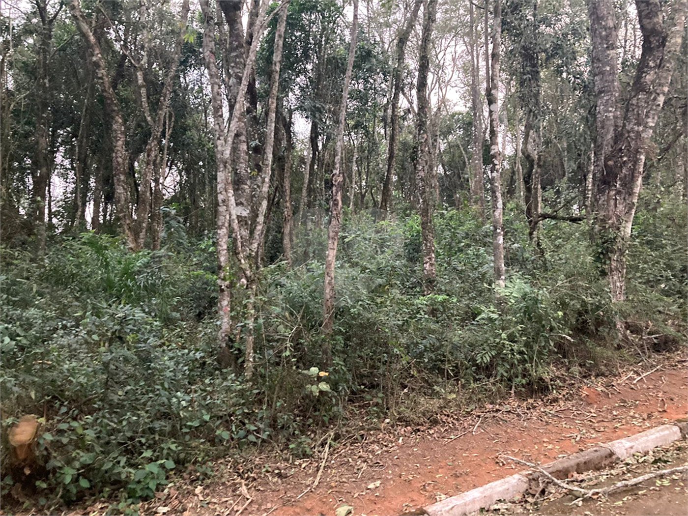 Terreno à venda no condomínio Alpes da Cantareira, Mairiporã - SP