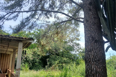 Terreno à venda em Jardim Patriarca, Ribeirão Preto, SP