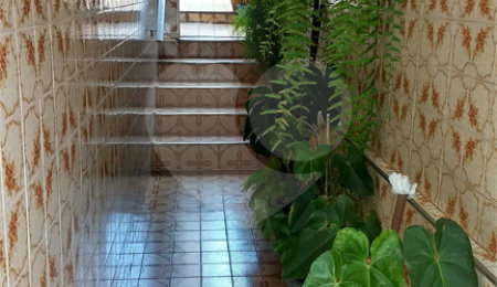 Casa à venda com 3 quartos em Saúde, São Paulo, SP
