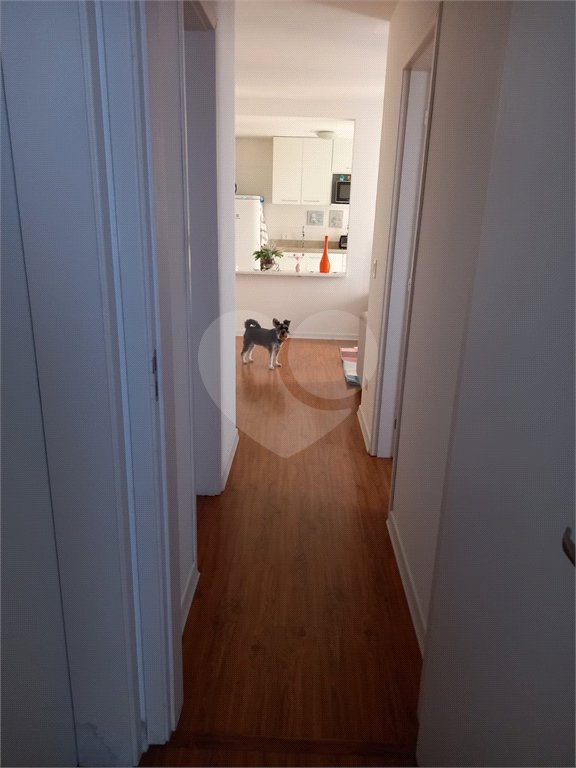 Apartamento à venda com 2 quartos, sendo 1 suíte, em Vila Mazzei, São Paulo, SP