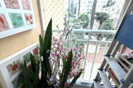 Apartamento à venda com 3 quartos, sendo 1 suíte,  em Vila Paulo Silas, São Paulo, SP
