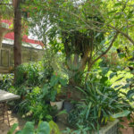 Casa Térrea à venda com 5 quartos em Brooklin, São Paulo, SP