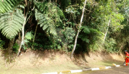 Terreno à venda em Roseira, Mairiporã, SP