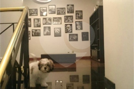 Sobrado à venda com 5 quartos, sendo 2 suítes, em Brooklin Paulista, São Paulo, SP